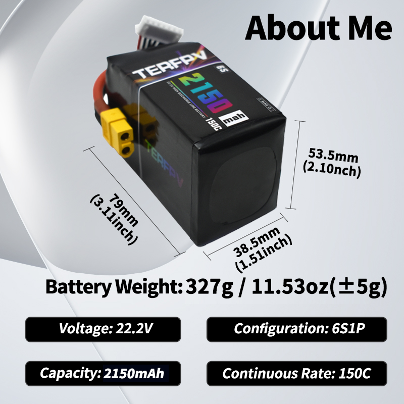 TERFPV Lipo Battery 6S 22.2V 1 - Drone Lipo Battery ulasan dan harga